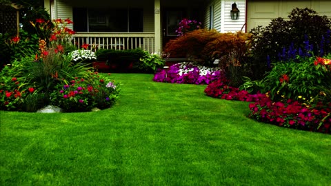 Beautiful Landscaping in Front Yard