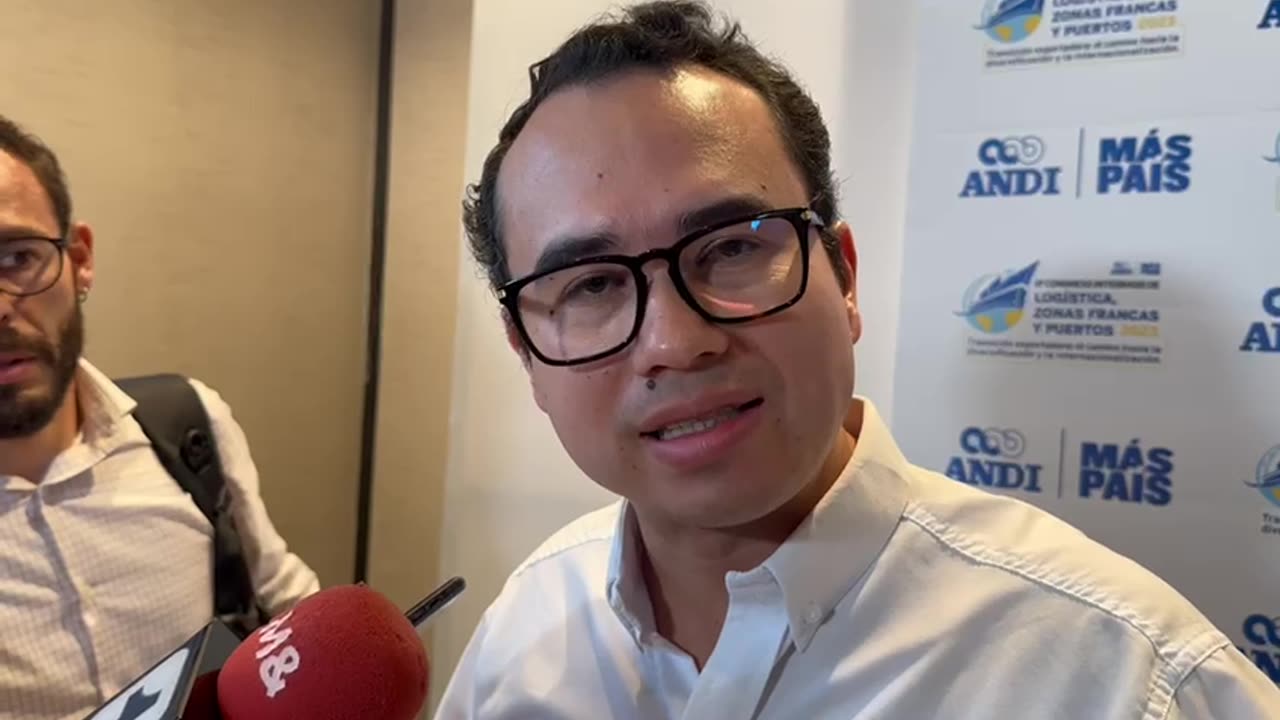 Presidente de la ANI