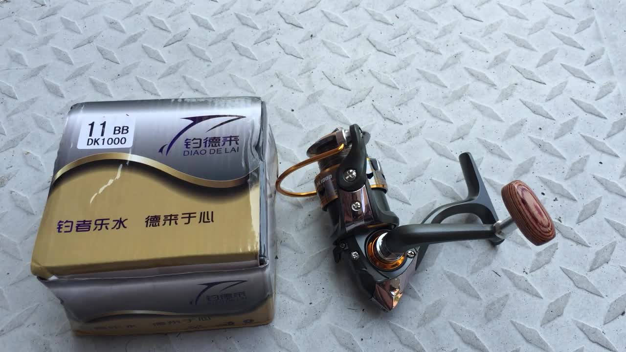 Lizard Fishing 11BB 2015 New German technology DK 1000