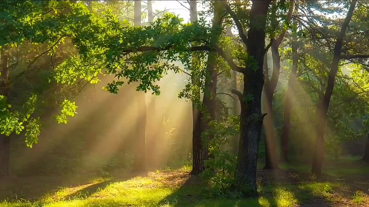 Let's embrace nature