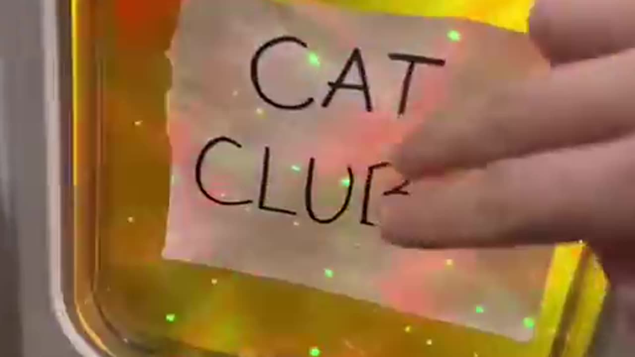 Cat_club_dancing 😂 funny#