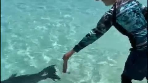 The man fed the fish with his bare hands