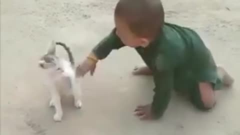 Sweet fight between Baby & baby Cat