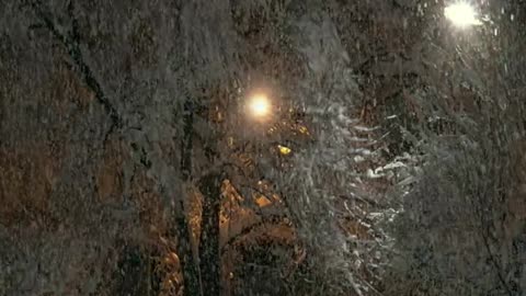 Street lights and snow