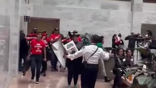 Pro-Palestine mob stormed the Senate office building.