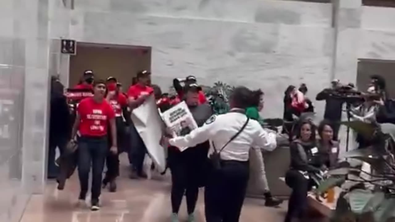 Pro-Palestine mob stormed the Senate office building.