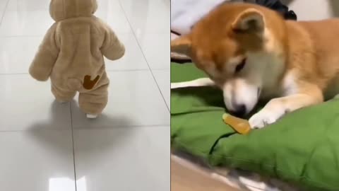 Cute baby 😍 and cute dog 😜 playing together 💕💕