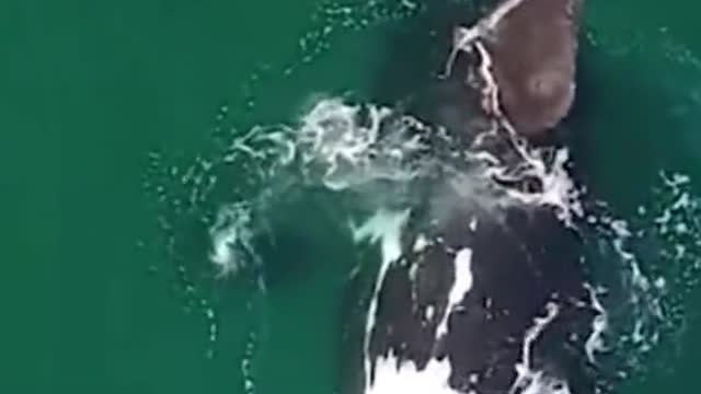 So beautiful 🥰✨