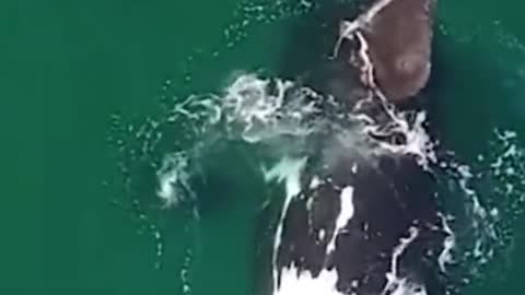 So beautiful 🥰✨