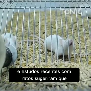 ⚠️VELHOS RICOS USAM SANGUE DOS MAIS PARA JOVENS PARA REJUVENESCER⚠️