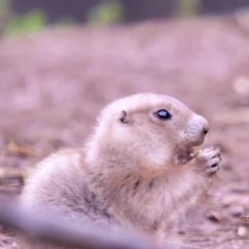 Escape the Stress: How Relaxing This Really Is! Volume 137