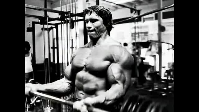 Arnold Schwarzenegger