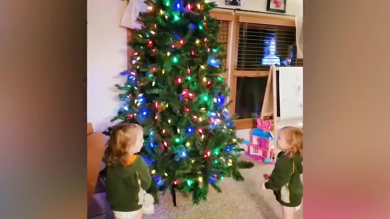 baby twin funny videos