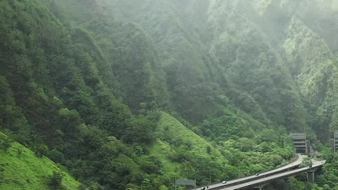 Nature view