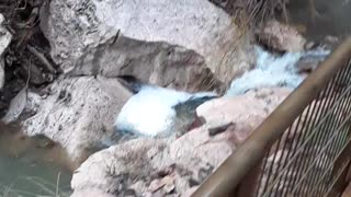 Noah's flood waters carved this Natural Bridge out in Arizona 2/14/23