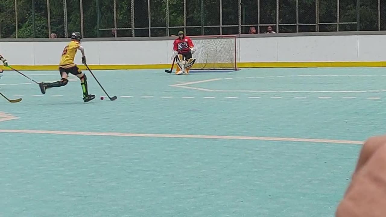 Dekhockey action at Penn hills