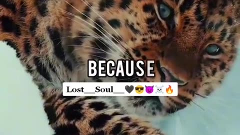 Broken 💔 peoples