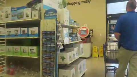 3 hamsters shopping at petco and petsmart