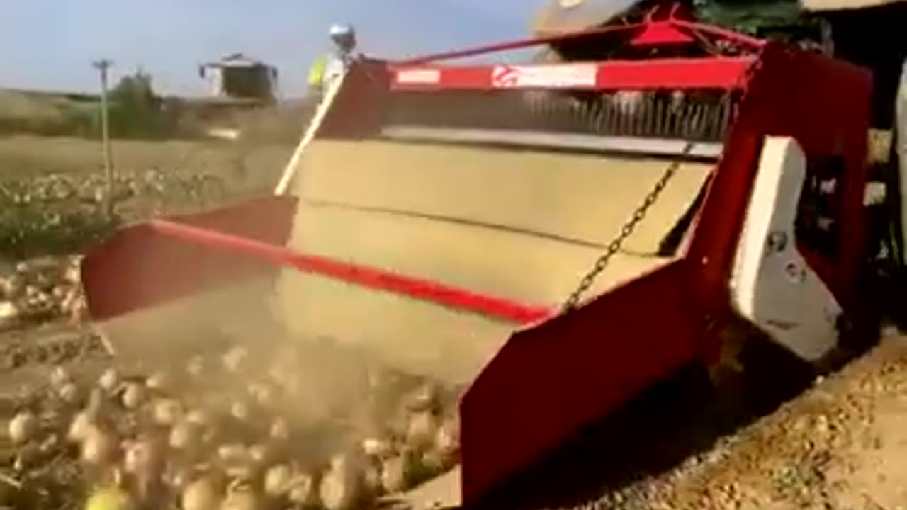 Modern machinery agriculture harvester of potatoes