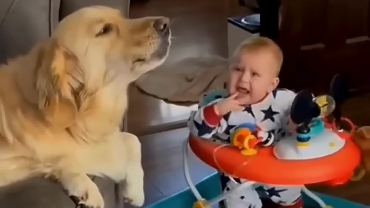 Cute & Funny Baby and animals