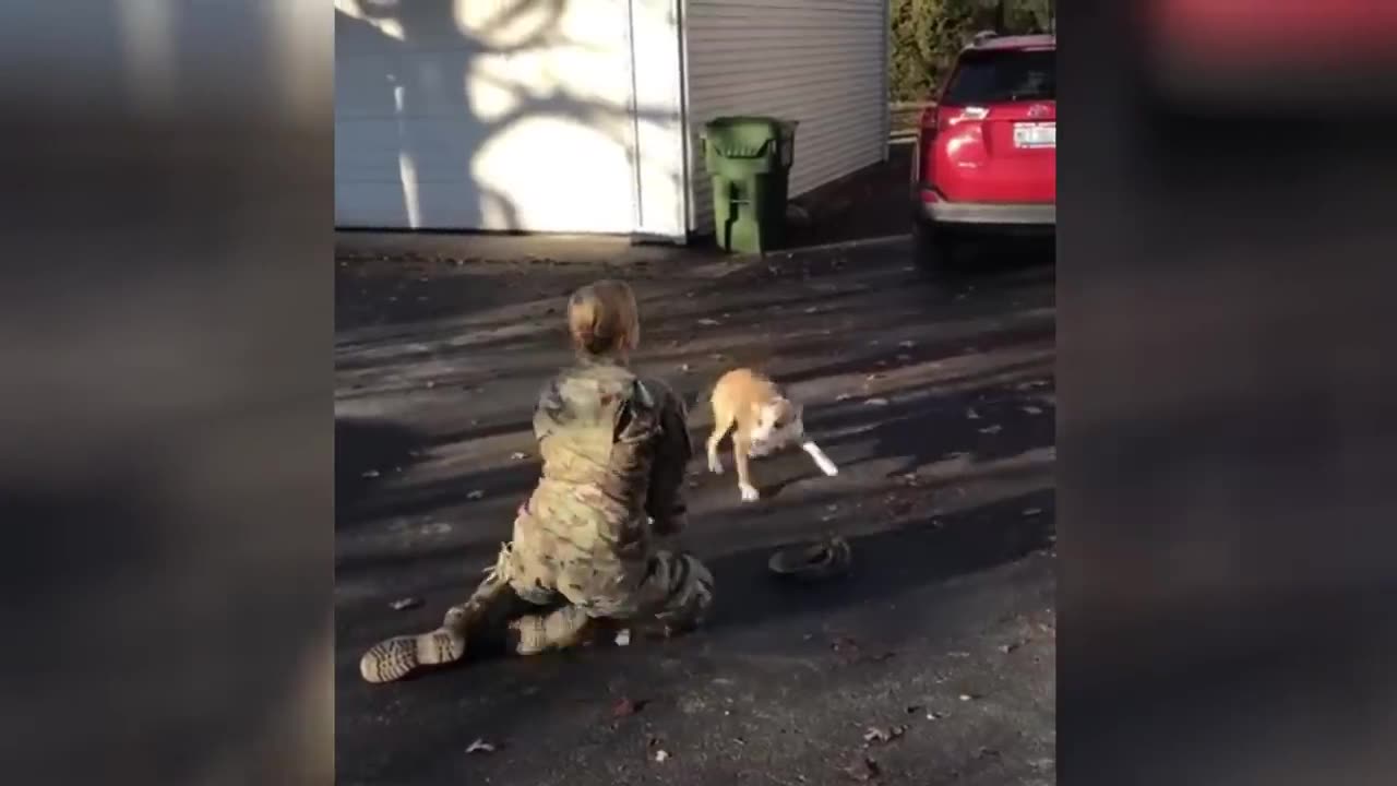 Animals Reunited With Their Owners After Years!