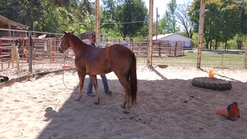 Ol cash first ride