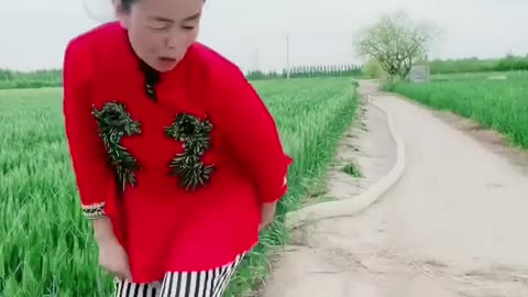 Best Funny Videos 2022, Chinese Funny clips daily4