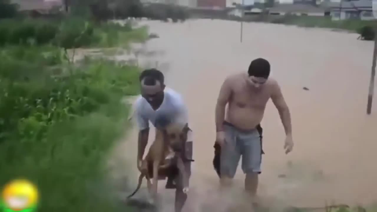 "Hilarious ship Crossings, Flooded Dogs, and Bed Cot carrying Bike Rides! ππΆπ²"