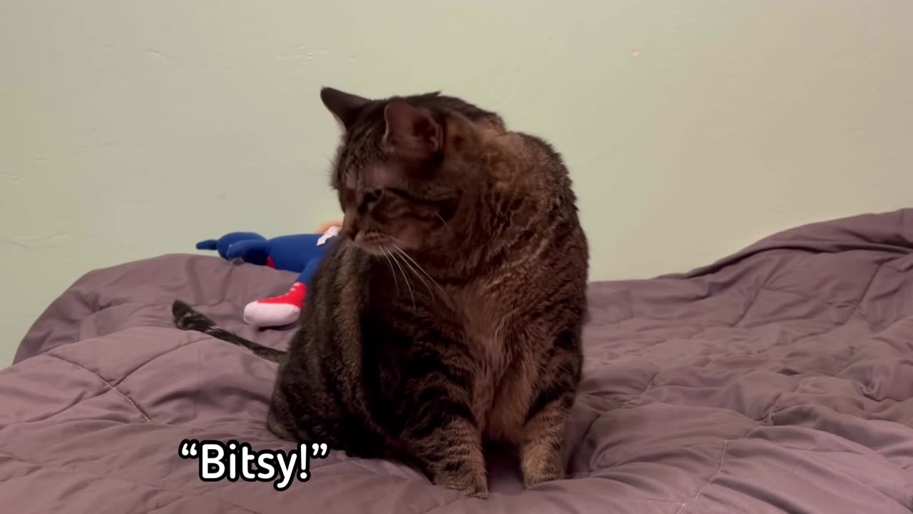 Penny sings a very unique version of The Itsy Bitsy Spider!