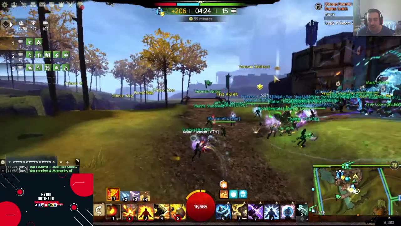 GW2 -FARMING ,SPVP and WvW MULTICLASS !!!!!