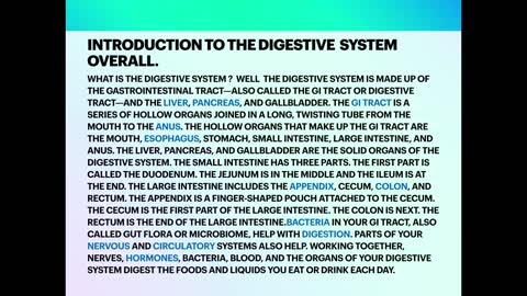 The digestive system (Anatomy review )