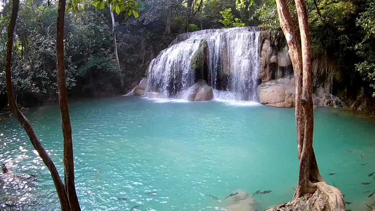 Relaxing sounds of a waterfall and a mountain river for sleep and meditation