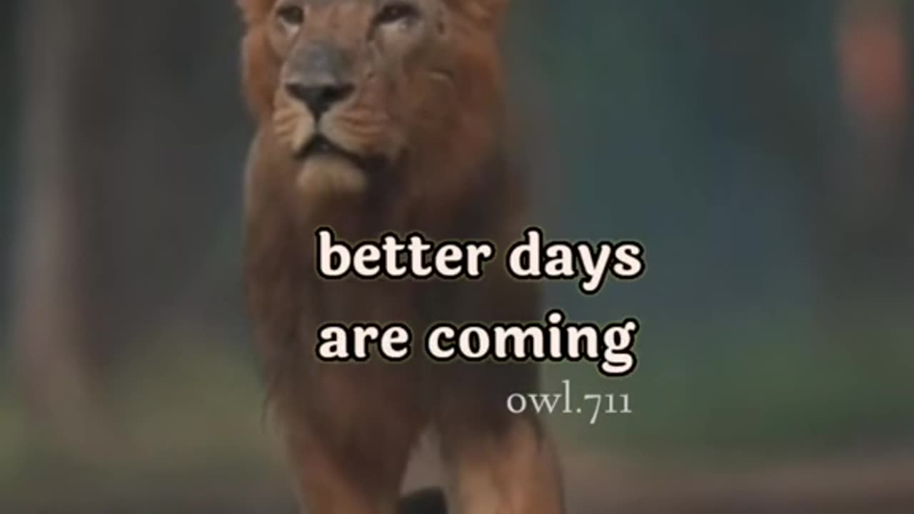Better days