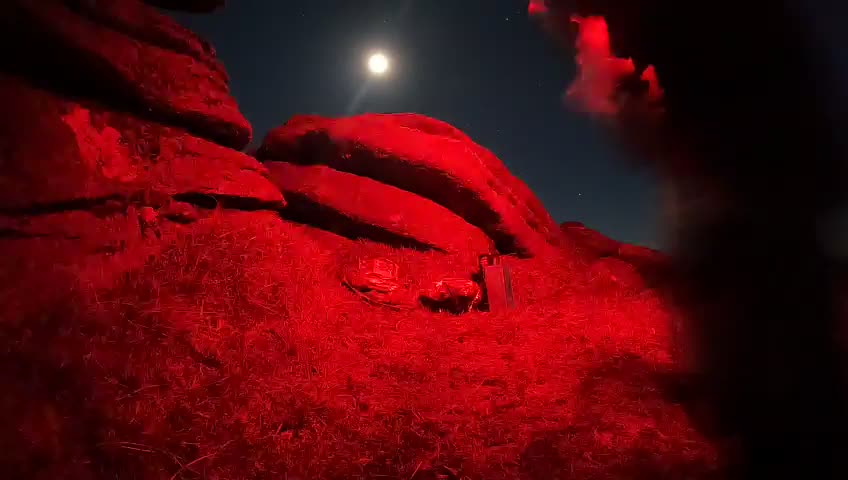 Beardown Tor Dartmoor. Nightlapse