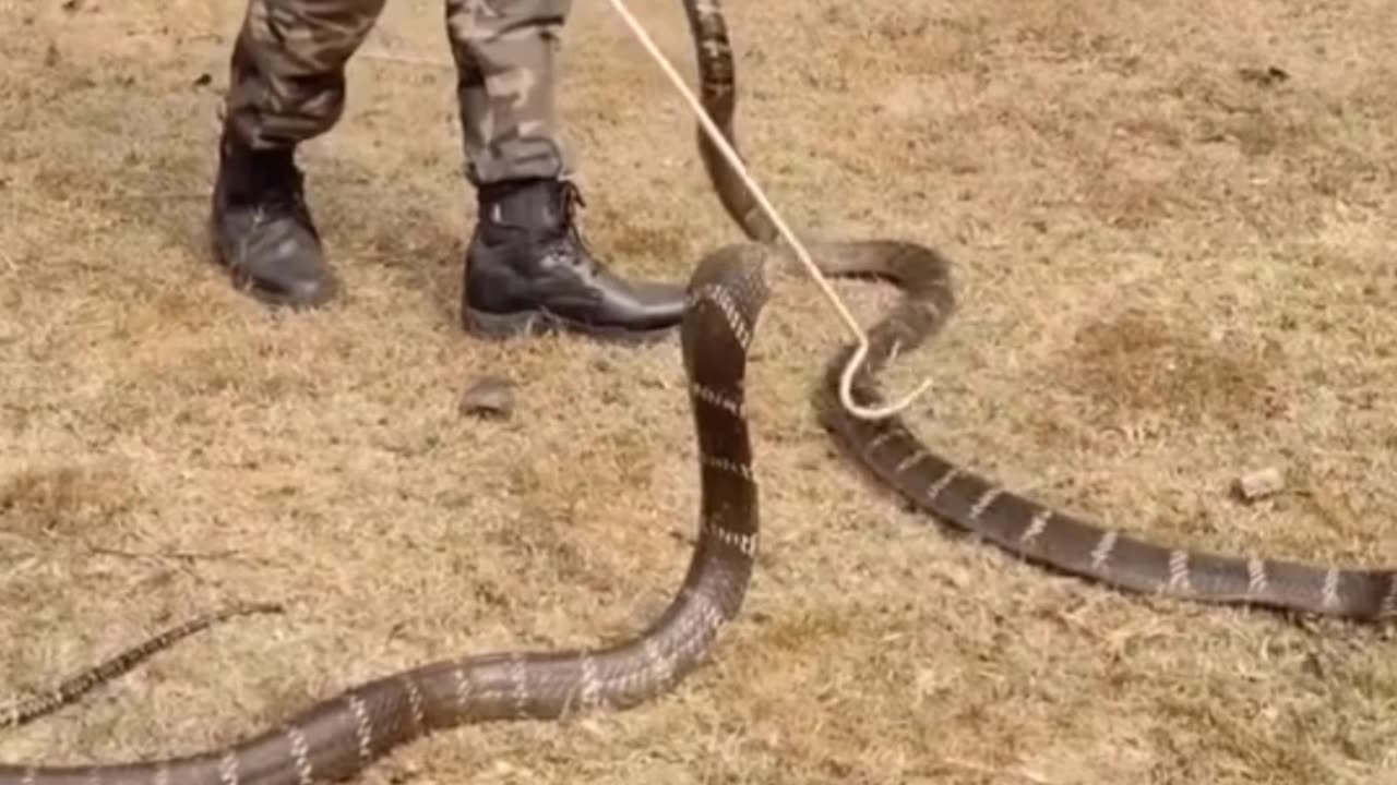 इंसानों के 4 सबसे गंदी हरकत।