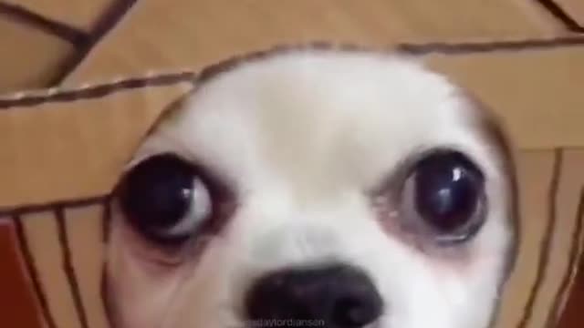 Force it to cooperate with me