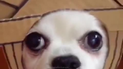 Force it to cooperate with me