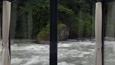 River video