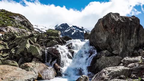 Beautiful Pictures of Switzerland - Swiss Landscape and Animals