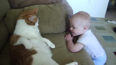 Cat Swatting at baby.....hilarious