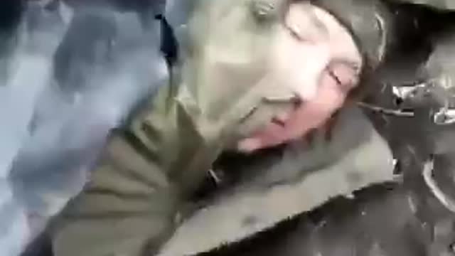 Dead Russians Left in the Woods