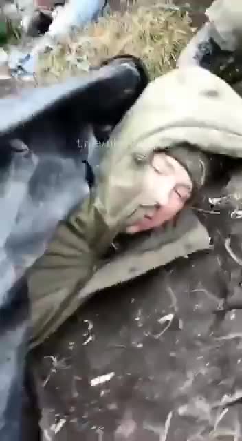 Dead Russians Left in the Woods