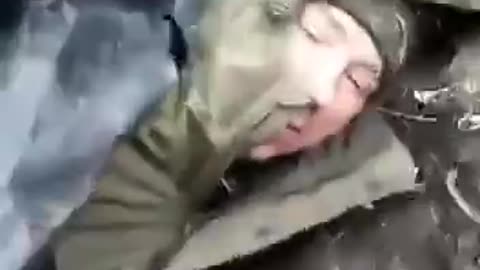 Dead Russians Left in the Woods