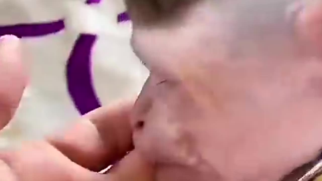 Funny monkey