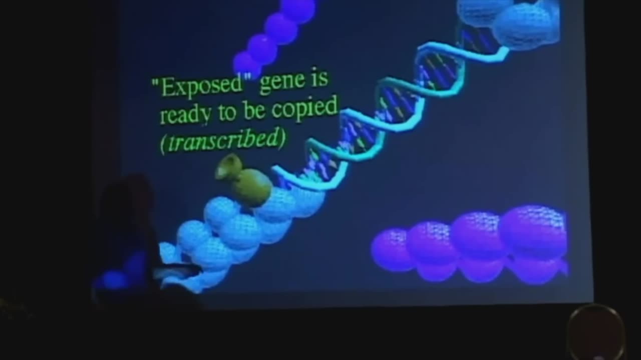 Bruce Lipton: Biology of belief