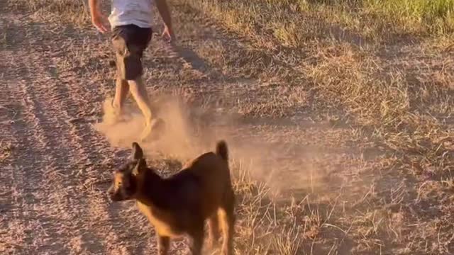 Boy and Baby Goat 🤗 run off into Sunset 🌅