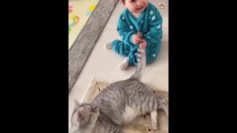 Funny Cat videos 🤣🤣 🐈🐈🐈