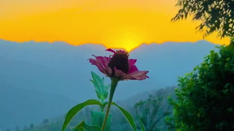 Azad Kashmir