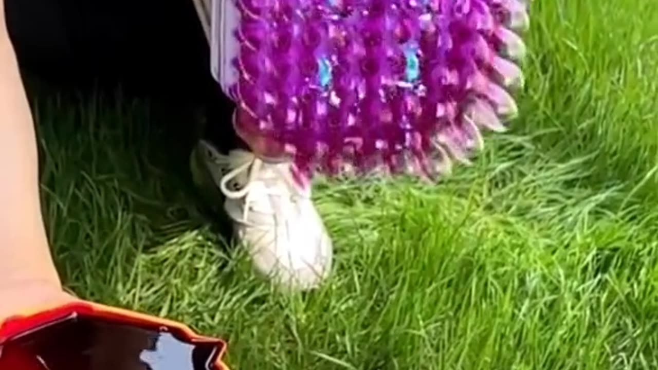 DL Panda Viral videos ON Internet