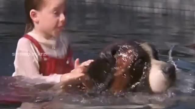 Dog Rescue a (Child) From Pool...